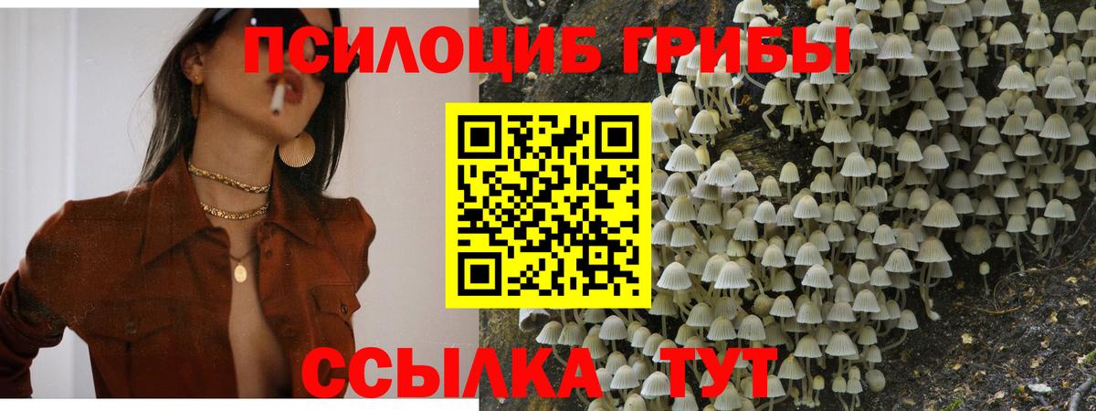 Нижнекамск  Псилоцибиновые грибы ЛСД  Вход с VPN 