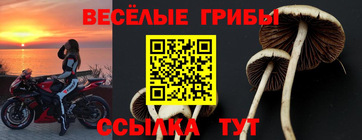 Галлюциногенные грибы мухоморы Нижнекамск